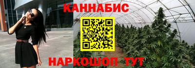 МДПВ Камышлов