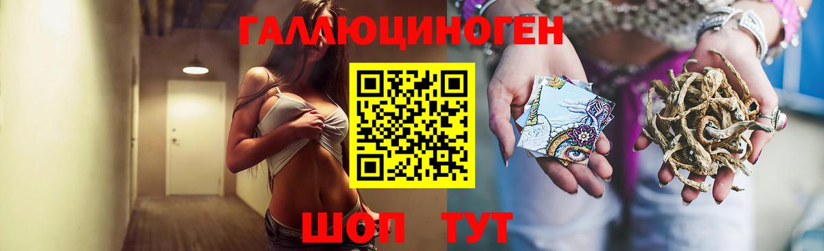 Елизово  Псилоцибиновые грибы GOLDEN TEACHER  Вход с VPN 